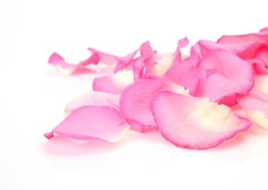 pembe gül yaprakları