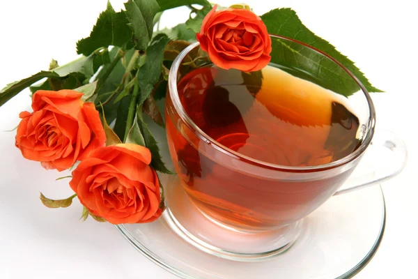 Fine rose and tea — Stock Photo, Image