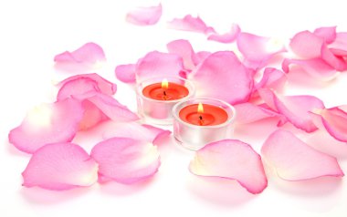 Pembe bir gül yaprakları