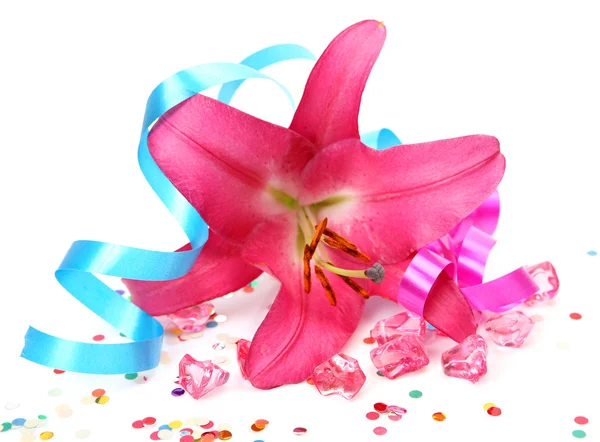 Pink lily flower — Stock Photo, Image