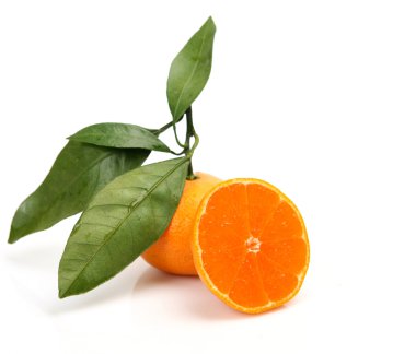 yaprakları ile olgun mandalina