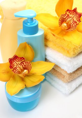 bir bedene bakmak için özneler