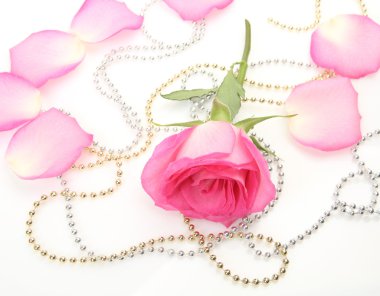 Güzel pembe Gül ve yaprakları