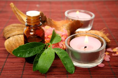 bir bedene bakmak için özneler