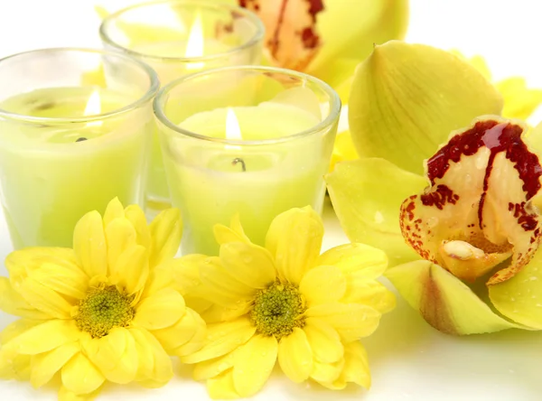 Orchidea fine e candele — Foto Stock