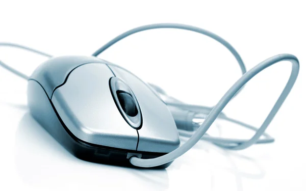 Computer mouse — Stock Photo, Image