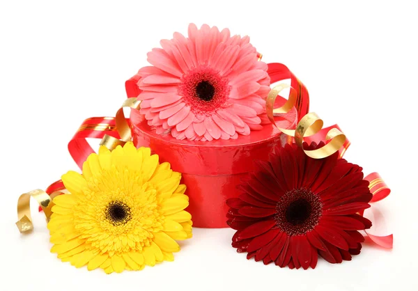 Kırmızı hediye kutusu ve çiçekler — Stok fotoğraf
