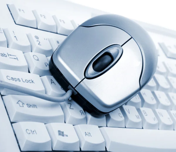 O rato de computador e o teclado — Fotografia de Stock