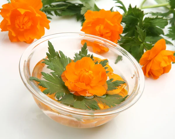 Orange blommor — Stockfoto