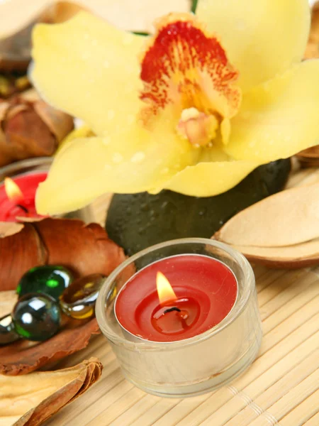 Candela aromatica e fiore — Foto Stock