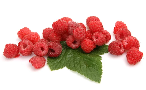 Ripe berries pile — Stock Photo, Image