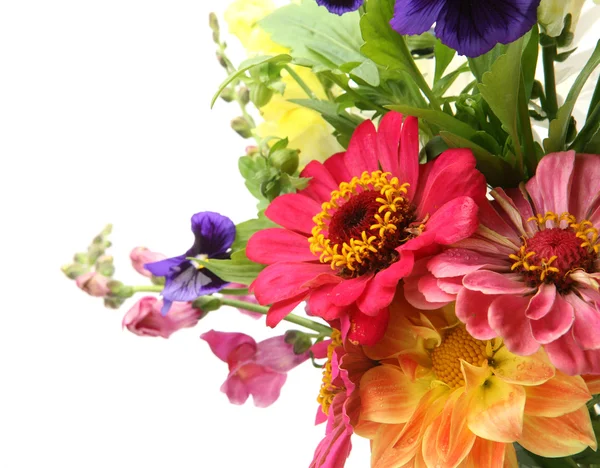 Куча ярких цветов — стоковое фото