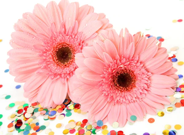 Pink flowers — Stock Photo, Image