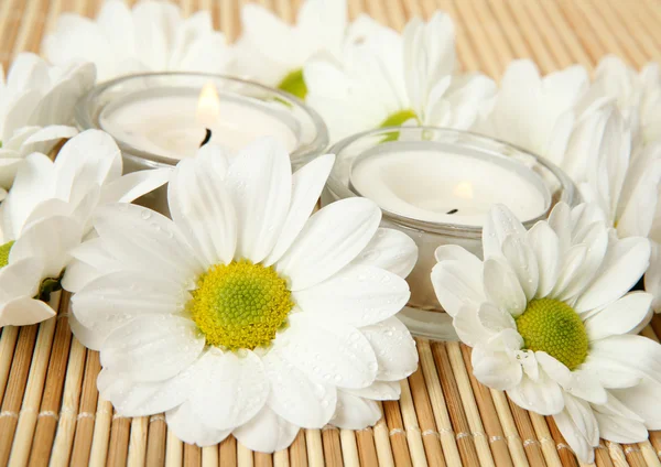 Wet daisy flowers and candles — Stock Photo, Image