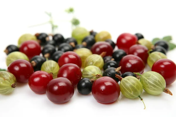Gooseberry , currant and cherry — Stock Photo, Image