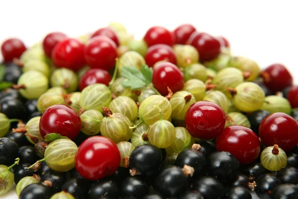 Gooseberry , currant and cherry — Stock Photo, Image