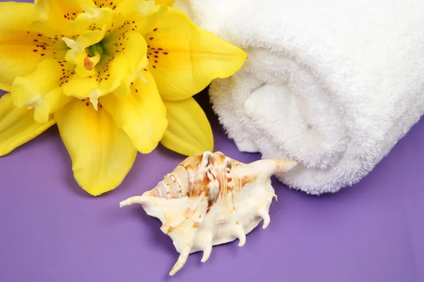 Ręcznik z kwiat lilii i powłoki — Zdjęcie stockowe