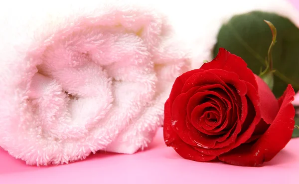 Πετσέτα και κόκκινο τριαντάφυλλο — Φωτογραφία Αρχείου