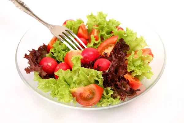 Sallad från färska grönsaker — Stockfoto