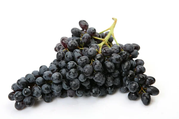 Ramo de uvas negras — Foto de Stock