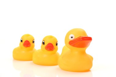 Sarı lastik ördekleri