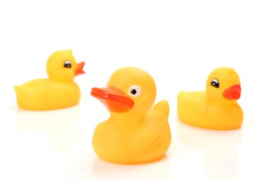 Sarı lastik ördekleri