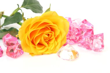 Sarı Gül ve pembe taşlar