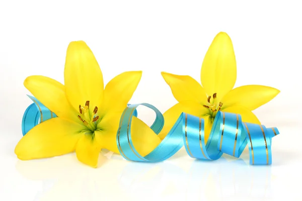 Yellow lilies flowers — Stock Photo, Image