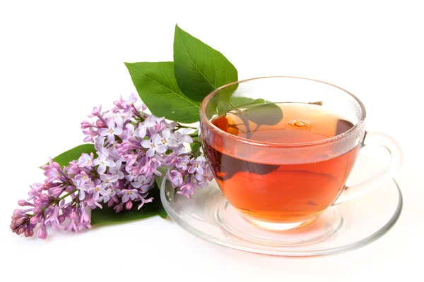 茶和淡紫色的花 — 图库照片