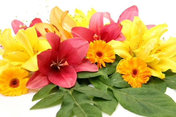 Цветы ароматных лилий — стоковое фото