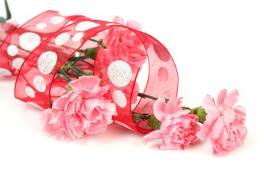 Beyaz üzerine pembe karanfil