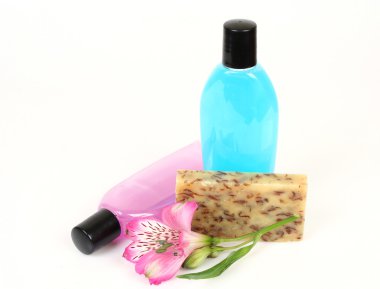 bir bedene bakmak için özneler