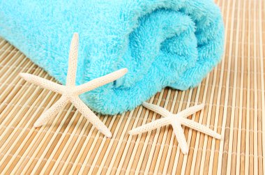 Bir duş için mavi havlu