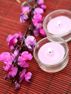 mumlar ve pembe çiçekler