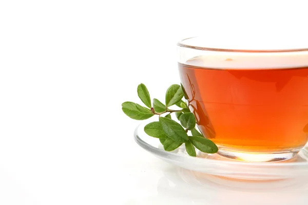 Tea and green leaves — Stock Photo, Image