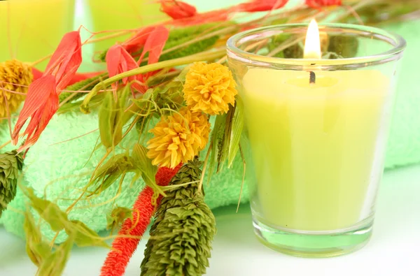 Arma candle with herbs — Stock Photo, Image