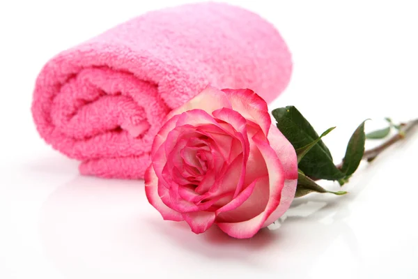 Roze handdoek met roze roos — Stockfoto