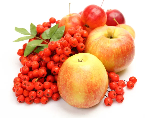Яблучні фрукти та ягоди — стокове фото