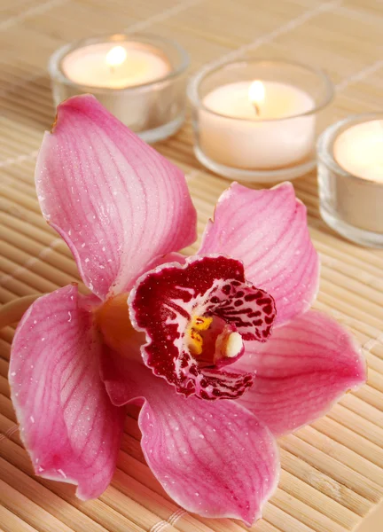 Orchidea viola con candele — Foto Stock