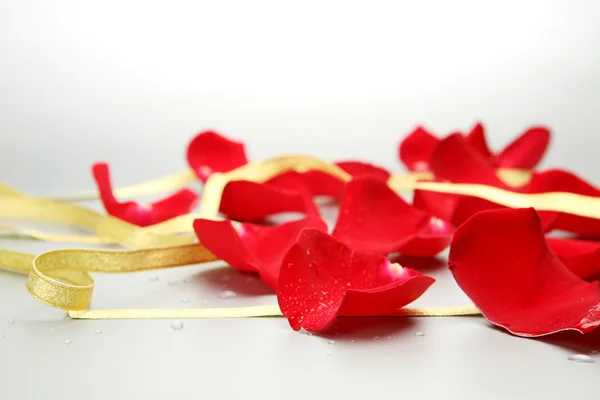 Pétalas de rosas em branco — Fotografia de Stock