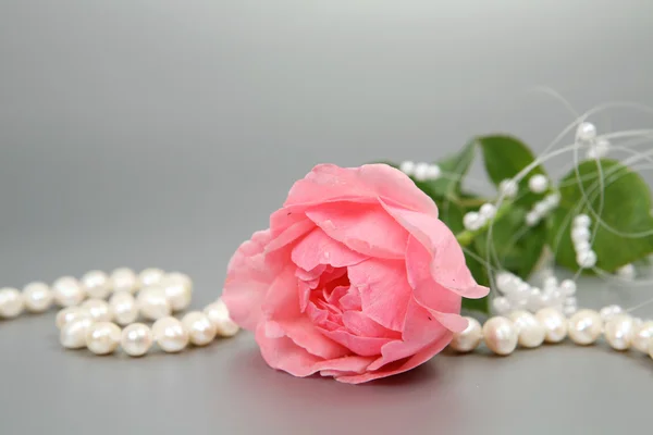 Rosa Rose und Perlen — Stockfoto