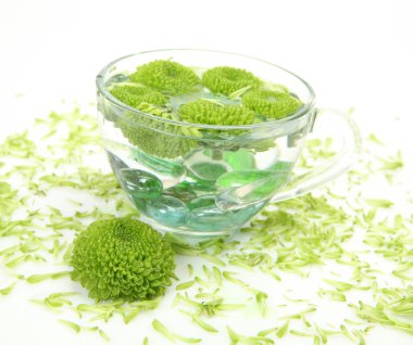 Bir fincan yeşil çiçekler