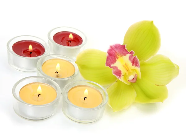 Orchid flower and candles — Stock Photo, Image