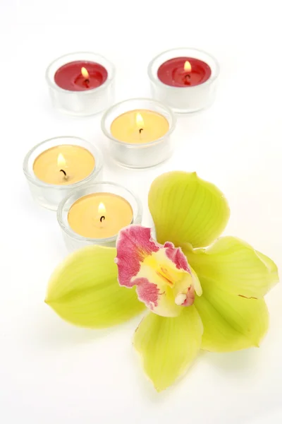 Flor de orquídea y velas — Foto de Stock