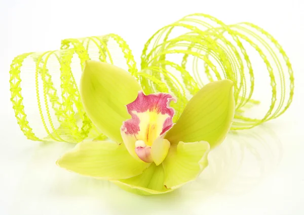 Orchid flower and ribbon — Stock Photo, Image