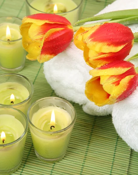 Ambiente spa con tulipanes naturales —  Fotos de Stock