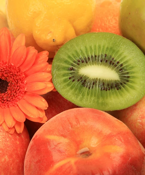 Ripe fruits and flowers — Stock Photo, Image