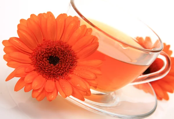 Cup of tea and flowers — Stock Photo, Image