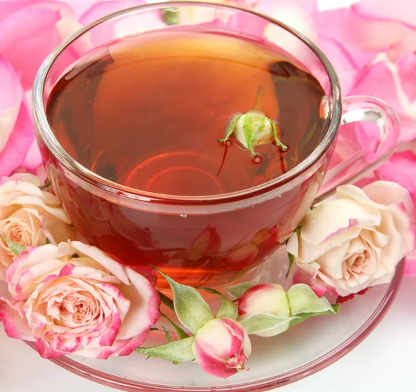 Tea cup and roses — Stock Photo, Image
