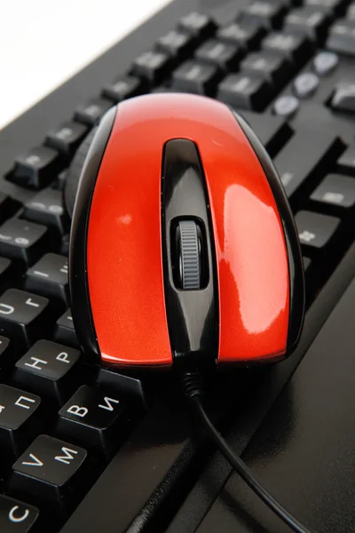 The computer mouse and the keyboard — Stock Photo, Image